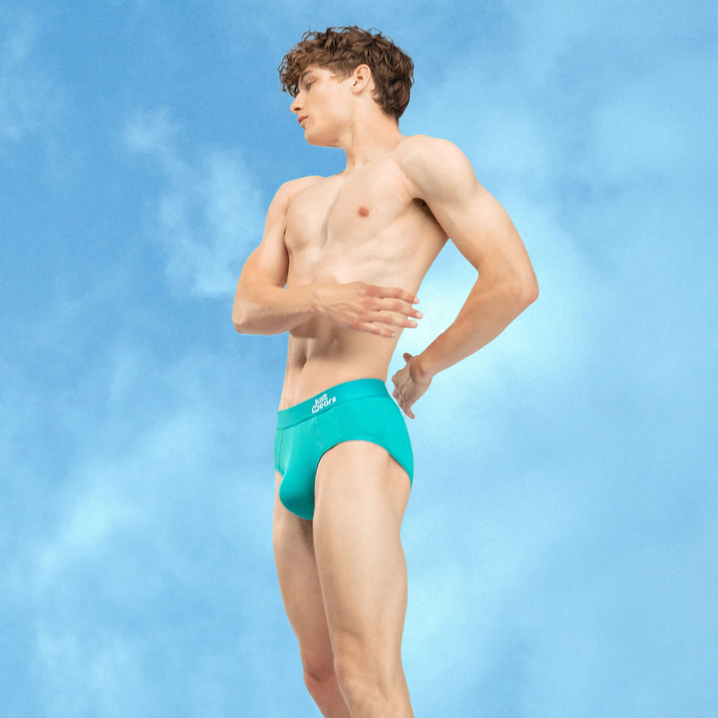 Briefs