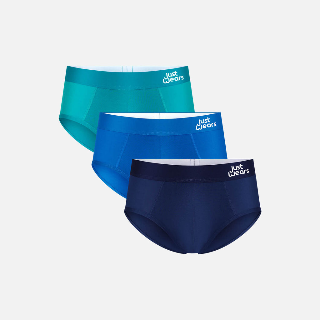 Briefs