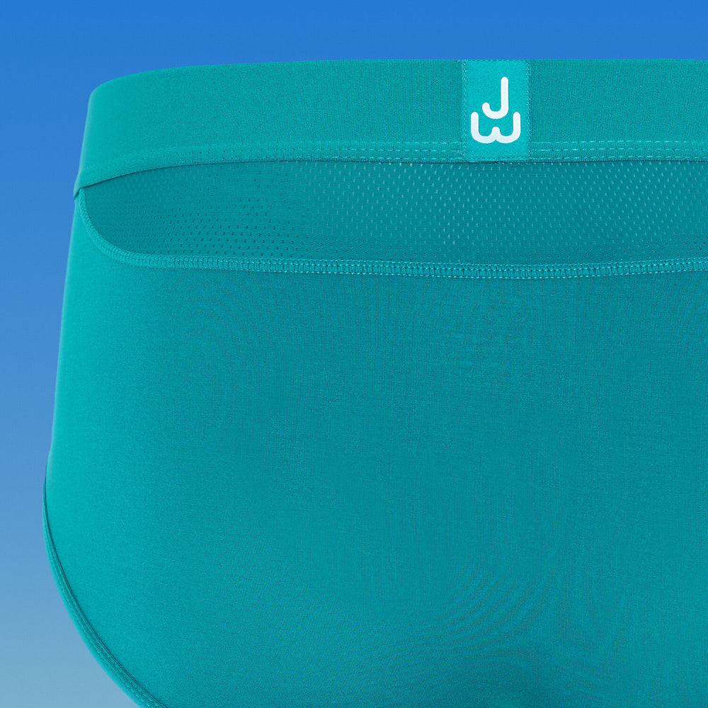 Briefs