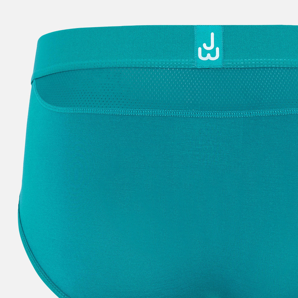 Briefs