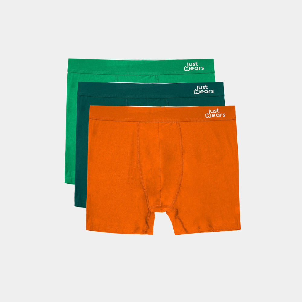 Boxer Briefs (color - Hidden Oasis Collection)