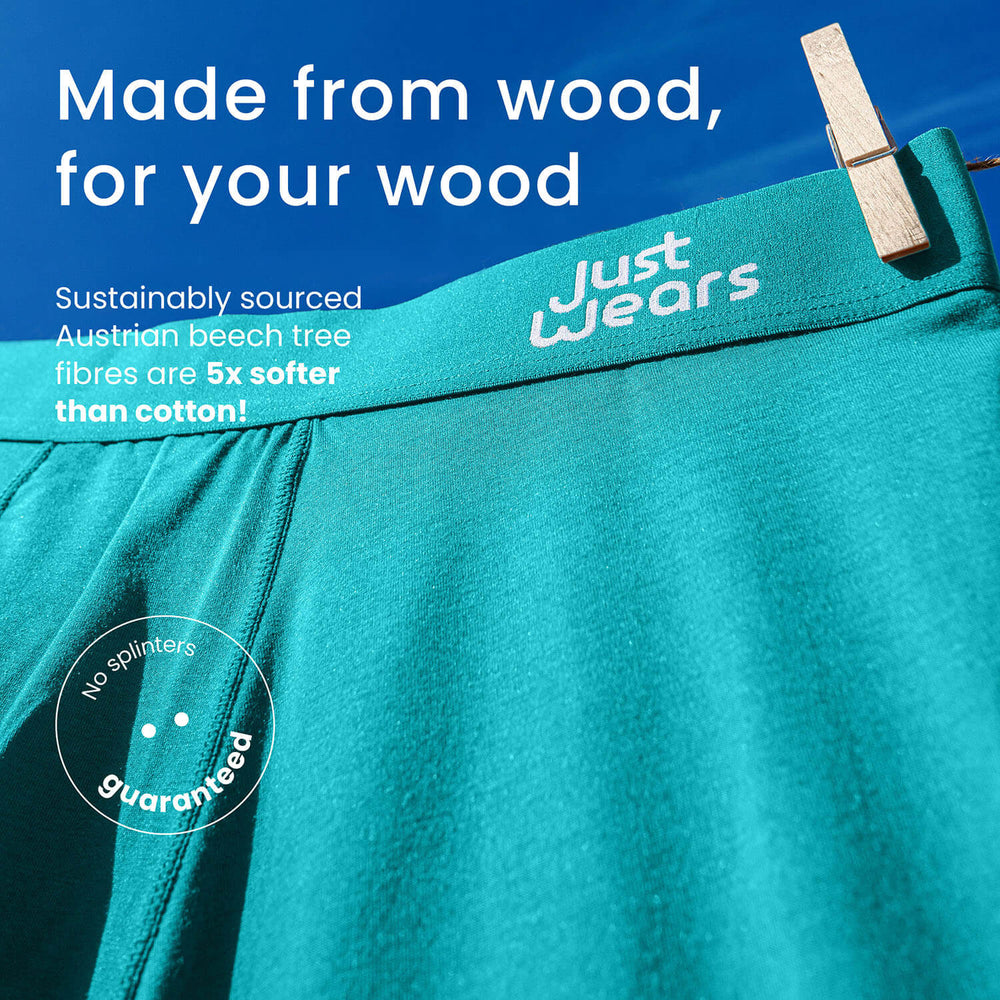 Boxer Briefs (color - Rydal Water Collection)