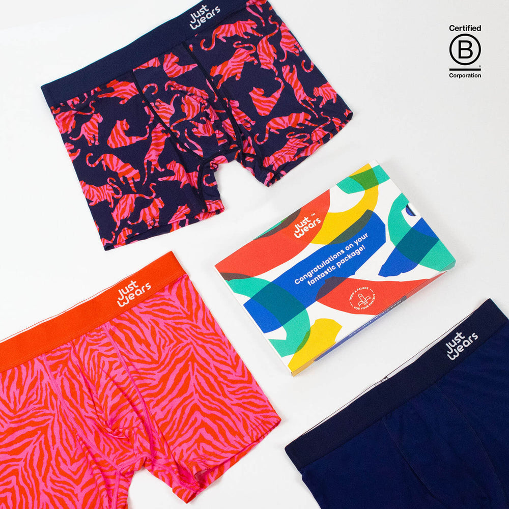 Boxer Briefs Europe (color - Wild Collection)